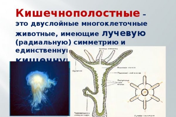 Как найти ссылку на кракен