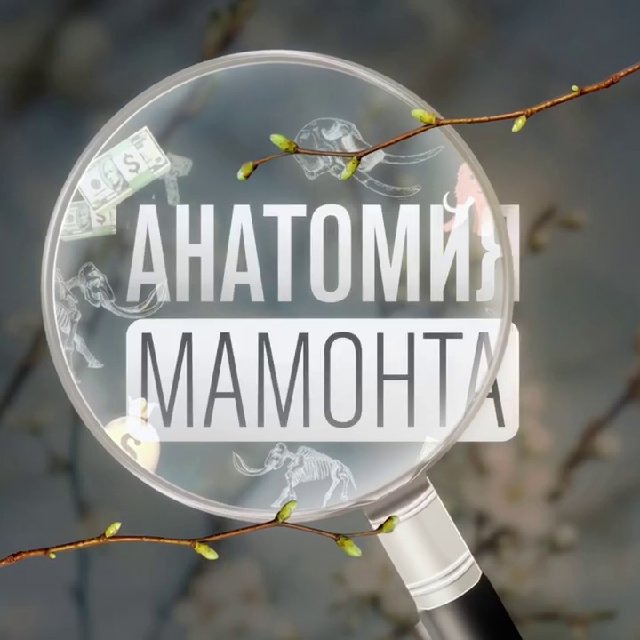 Зеркало на кракен