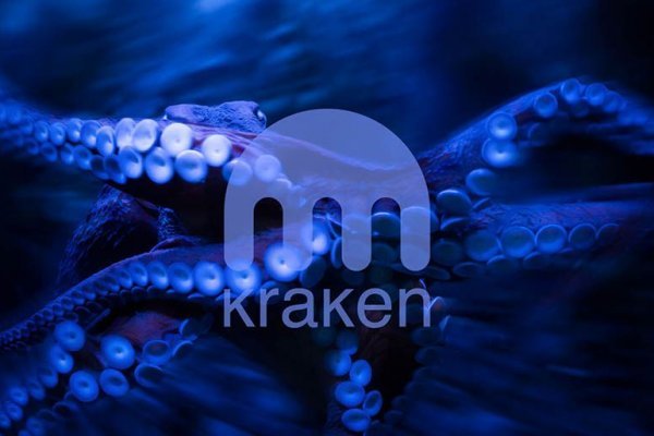 Tor browser зеркала kraken