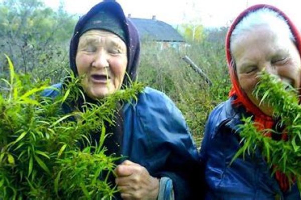 Что вместо гидры
