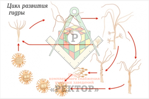 Кракен маркетплейс что там продают